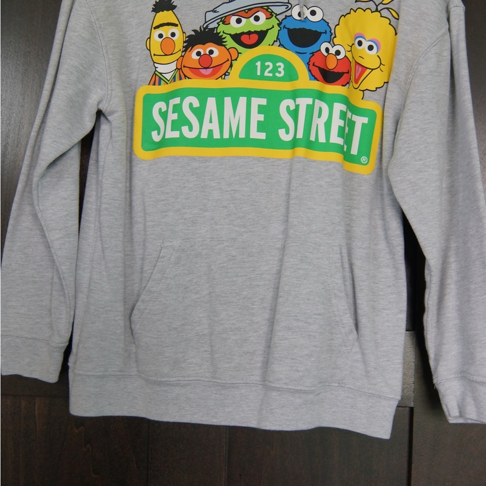 Sesame Street Gray Kids Sweater with Colorful Characters